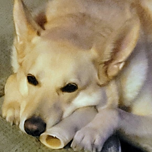 Hey, I'm Jules. I Accept All Reasonable Offers! I Make Hand-Crafted Jewelry! HMU - Picture 3 of 9